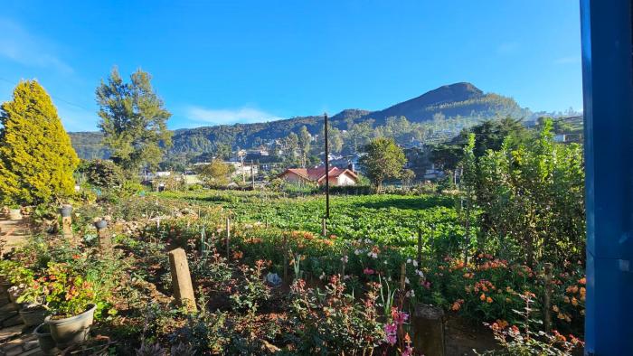 aurora residence nuwara