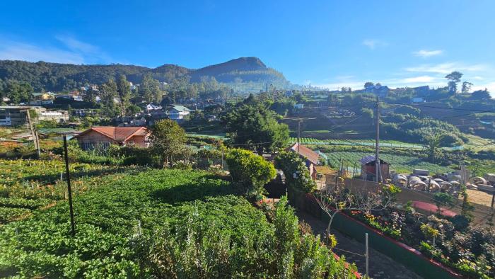 nuwara eliya