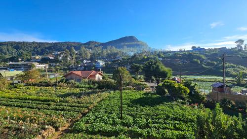 aurora residence nuwara