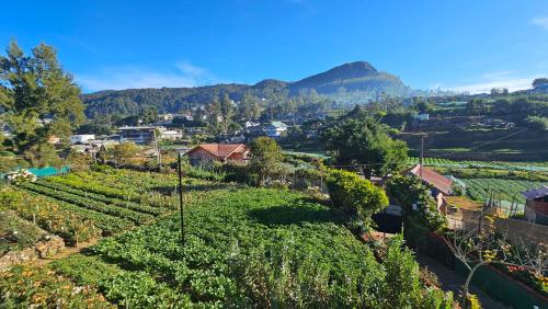 aurora residence nuwara