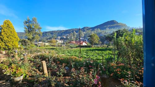 aurora residence nuwara