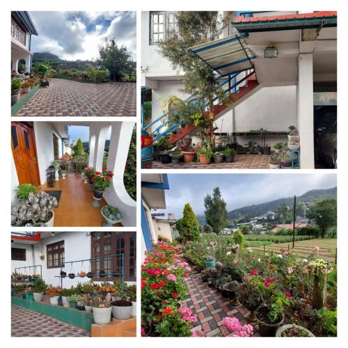 nuwara eliya