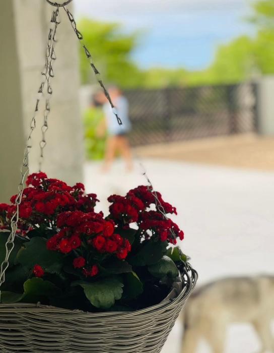 luna holiday home