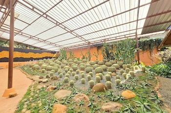 baan yung hill resort
