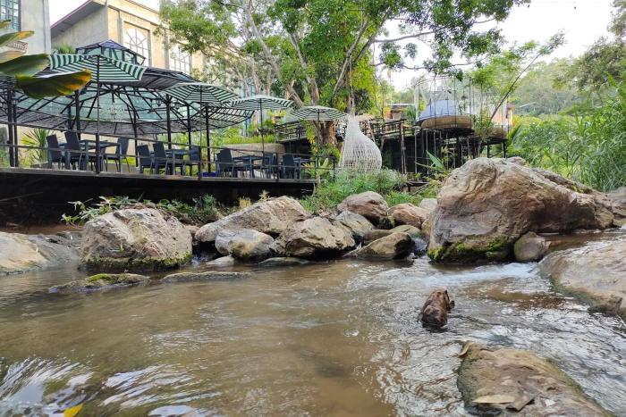 maerim creek resort chiangmai