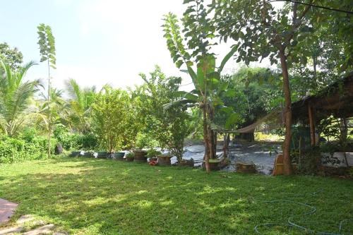 nisarga greens
