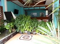 the beach cha am guest house