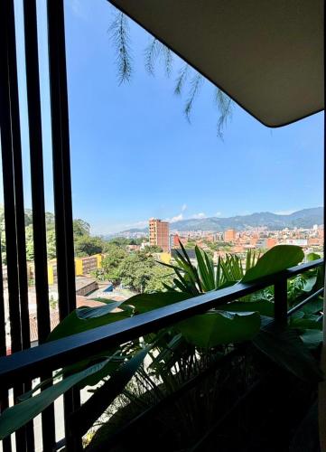 medellin