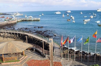 arena dorada