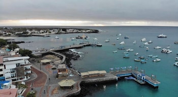 arena dorada