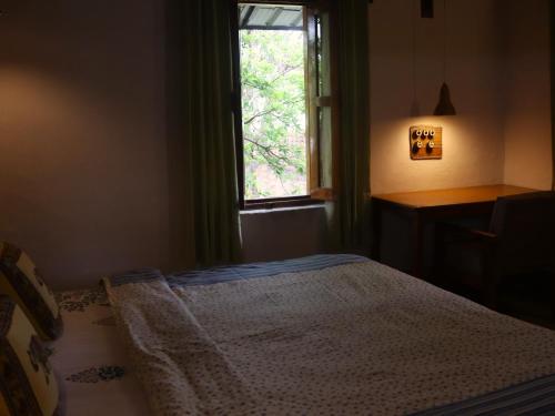 vindhyavan mud house panna