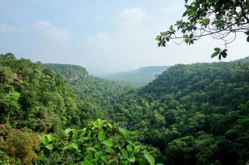 vindhyavan mud house panna