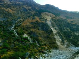 ronak happy stay river side camping