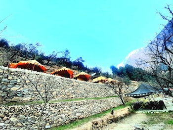 ronak happy stay river side camping