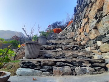 ronak happy stay river side camping