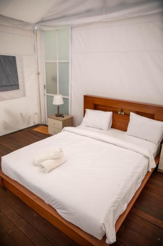 ohara glamping