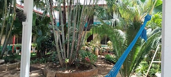 hostal harvest house