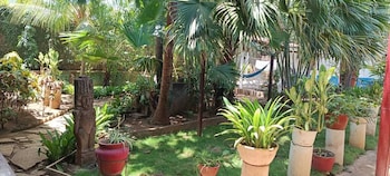 hostal harvest house