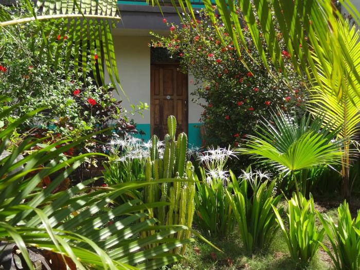 hostal harvest house