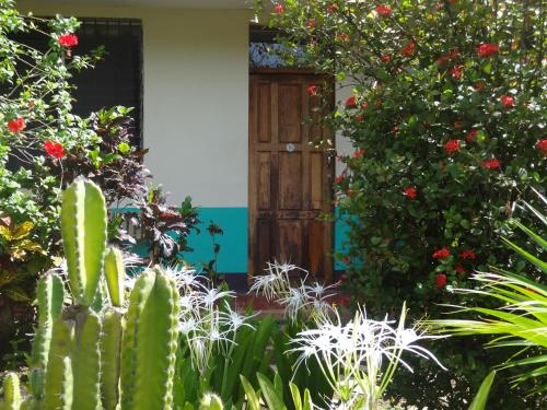 hostal harvest house