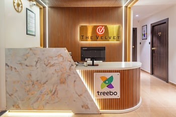 treebo the velvet
