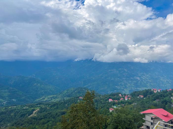 rare himalayas de regency