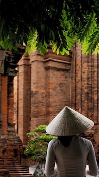 melia aurea nha trang