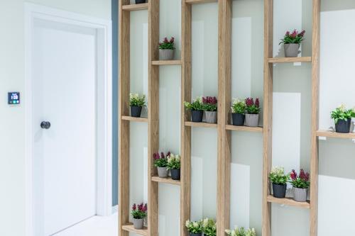 ernest suites psiri