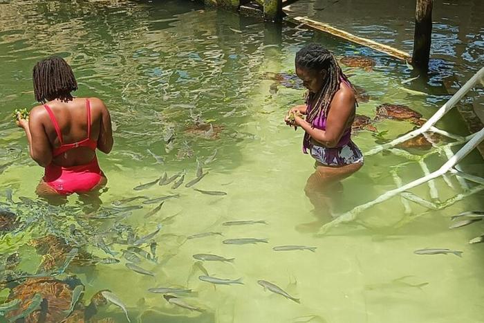 nungwi turtle cave resort