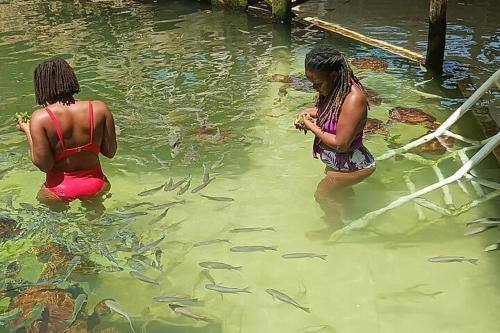 nungwi turtle cave resort