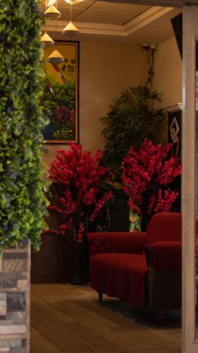 hotel reforma