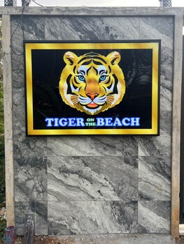 tiger on the beach