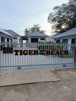 tiger on the beach