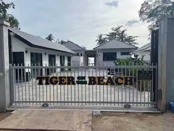 tiger on the beach