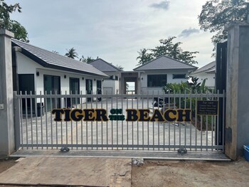 tiger on the beach