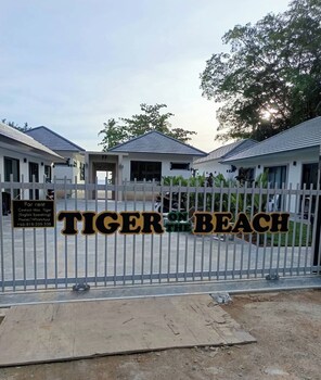 tiger on the beach