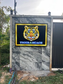 tiger on the beach