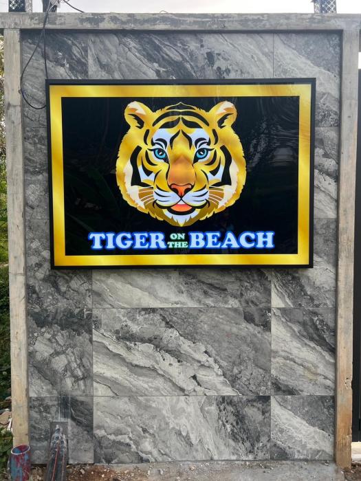 tiger on the beach