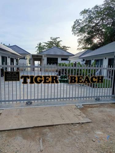 tiger on the beach