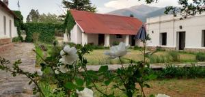 Las Tacanas,Tucuman>>Tafi Del Valle,2.5 star
