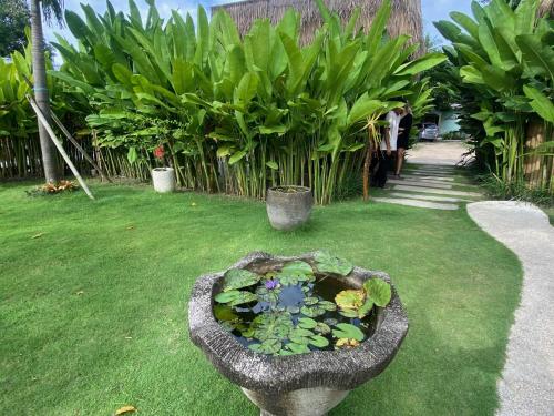 roh villas kuta lombok