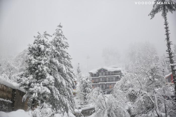 north star manali