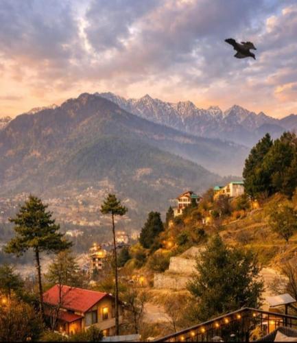 north star manali