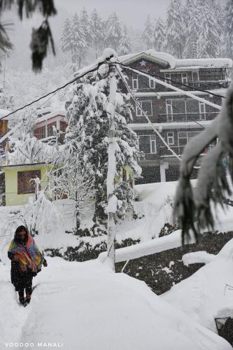 north star manali