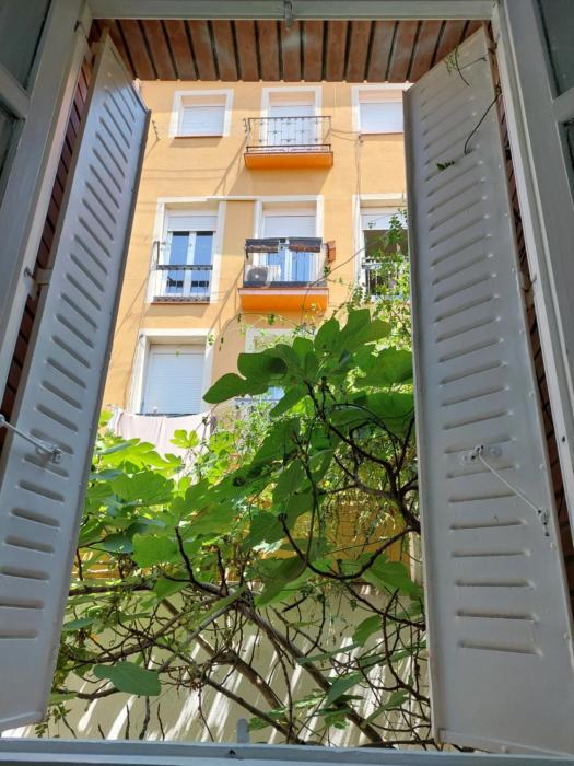 n1 casa de madrid