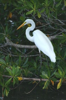 pousada del mare