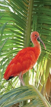 pousada del mare