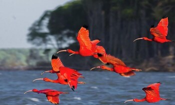 pousada del mare