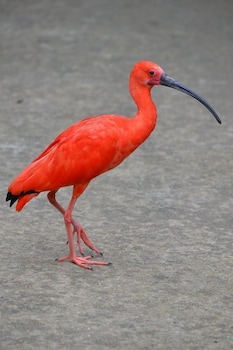 pousada del mare