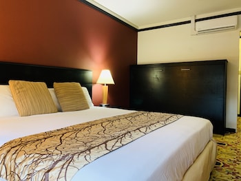 hotel at the waldorf